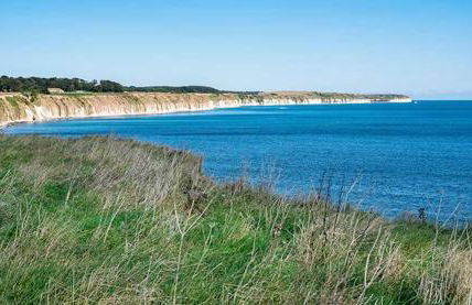 Nelly's Nest - Foto 42