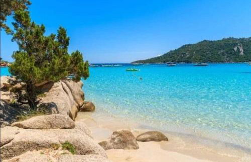 Villa les Palmiers pool spa view of Bavella - Foto 15