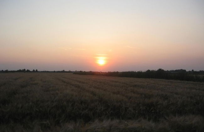 Agriturismo La Rovere - Foto 56