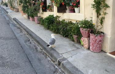 Appartement atypique cosy entre terre & mer - Foto 24