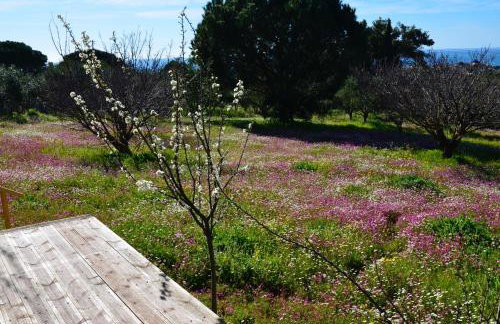 Villa Aliki - Foto 42