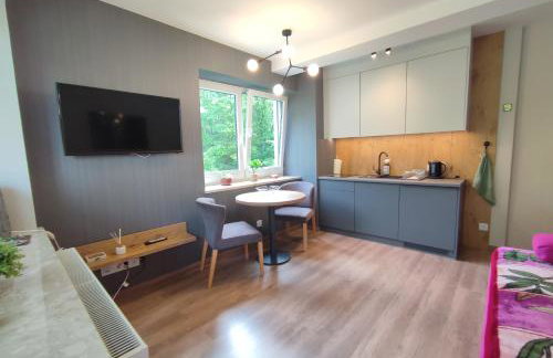 Czarodziejska Góra Kozubnik Daglezja - Foto 5