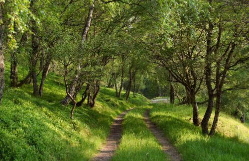 The Dell at Glenlivet - Foto 25