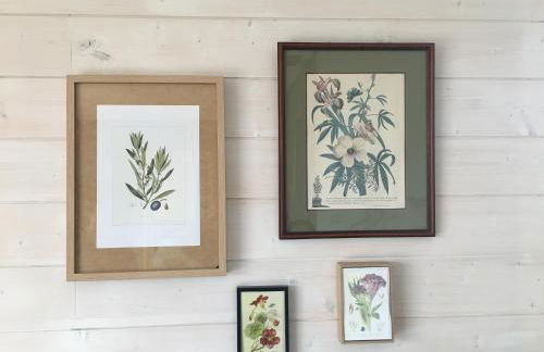 DOMAINE D'ELUSA - Photo 16