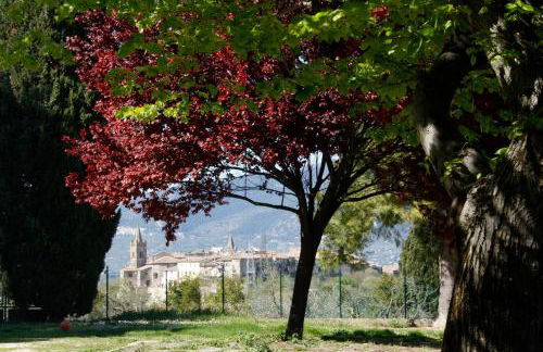 Le Storie di Bambu - Foto 26