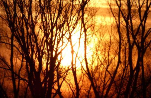 An der Flut 269 - Foto 12