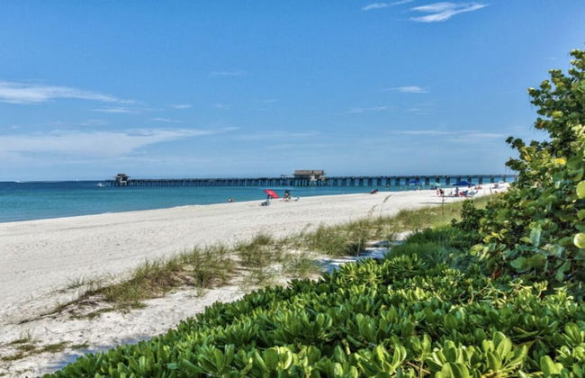 Imola: Newly Remodeled Pool Home Minutes from Vanderbilt Beach. Family-Friendly Retreat with 4 BR, 3.5 Bathrooms, and Private Screened Pool. Perfect Location Near Mercato and Naples Attractions - Foto 49