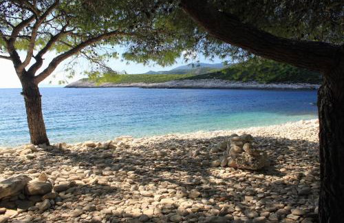 Apartments with parking space Rukavac, Vis - 8897 - Foto 30