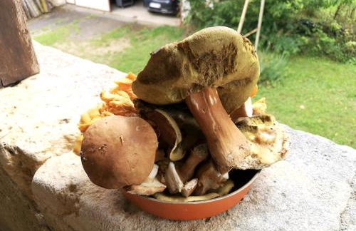 Maison de charme à Brantôme en Périgord avec piscine partagée - Foto 20