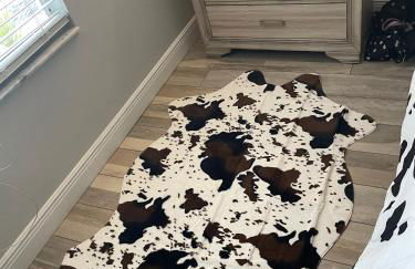 Casa Azul Sarasota Retreat - Foto 19