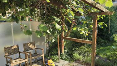 Charmantes Haus mit eigenem Garten - Foto 4