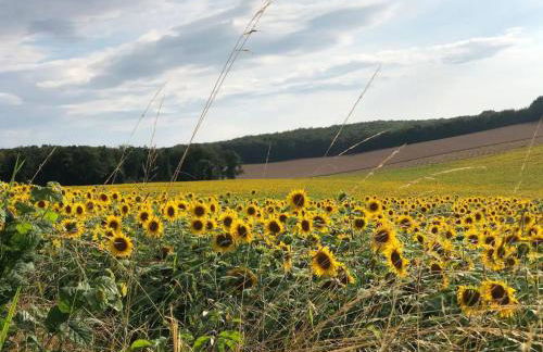 Holiday Home Landhaus mit eingezäuntem Garten by Interhome - Foto 23