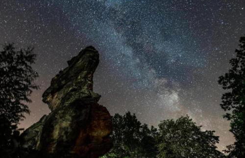 Nature Escape in Meisdorf - Foto 76