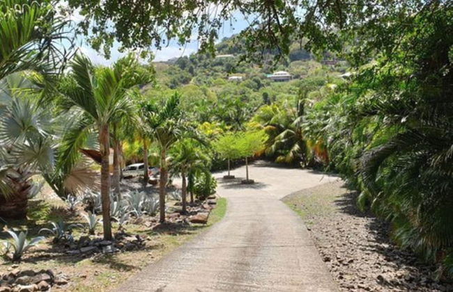 Villa La Ressource - Photo 30