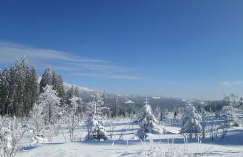 Apartments Josef Seitz - Foto 41