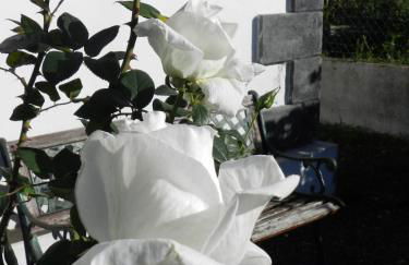 El Lagar de Piedra - Foto 20