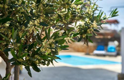 Helios Dream Apartment with Private Pool - Foto 24