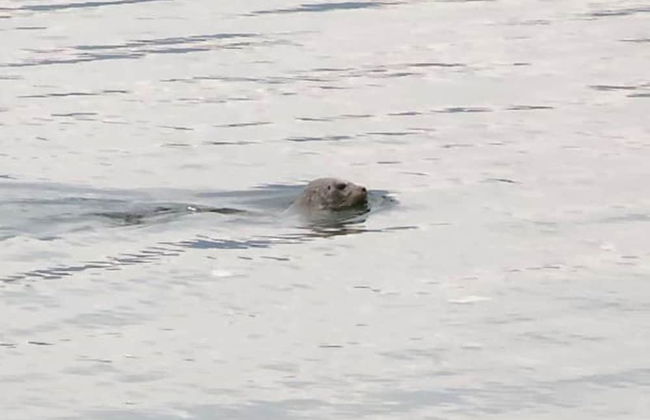 GLOBALSTAY. Paradise Marina Place - Photo 47