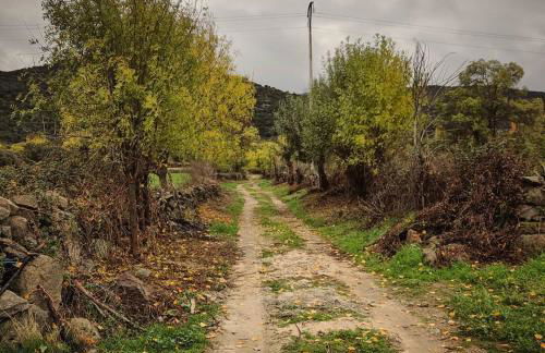 La Candileja - Foto 38