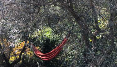 Mas du ciel en Cévennes - Photo 4, Garden