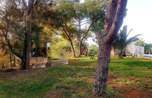 Tiny House Koala Valdareina, PISCINE CHAUFFEE, Bénagil-Carvoeiro - Foto 29