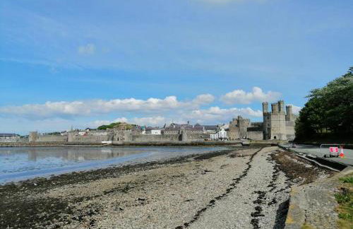Lovely Stone Village cottage in Snowdonia - Foto 14