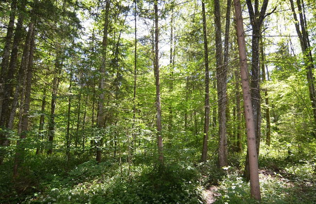 Traumhafte Wohnung im Berchtesgadener Land - Foto 19