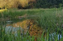 Ferienwohnung Am Geysirzentrum - Foto 41