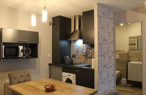 Oyonnax Bellignat Appart Hotel - Foto 23