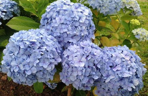 Villa Família - Photo 15