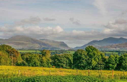 Plas Cefn Mawr - Foto 35