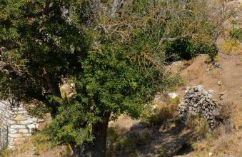 Με θέα το χωριό & το όρος Ζευς! - Foto 48