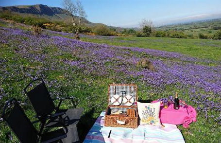 GlenHaven Holiday Accommodation - Foto 53