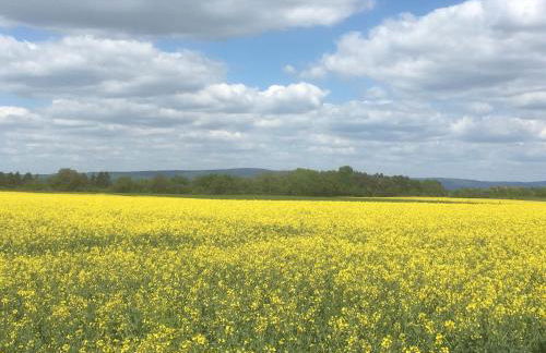 Ferienwohnungen In de goldisch Luft - Foto 18