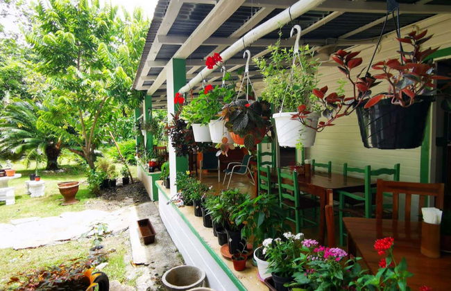 Puerto Plata & Taino Valley Tour - Photo 8