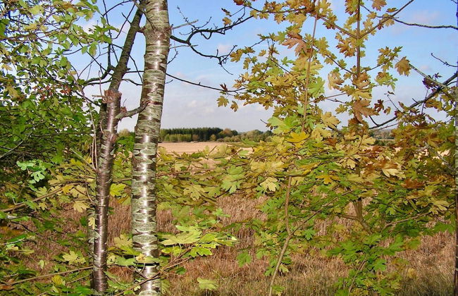 6 Person Holiday Home in Taastrup - Photo 12