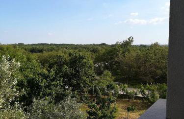 Apartments with a parking space Poljica, Zadar - 13289 - Foto 21