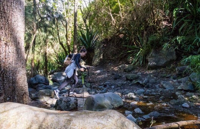Randonnée à La Chapelle de Cilaos - Photo 7