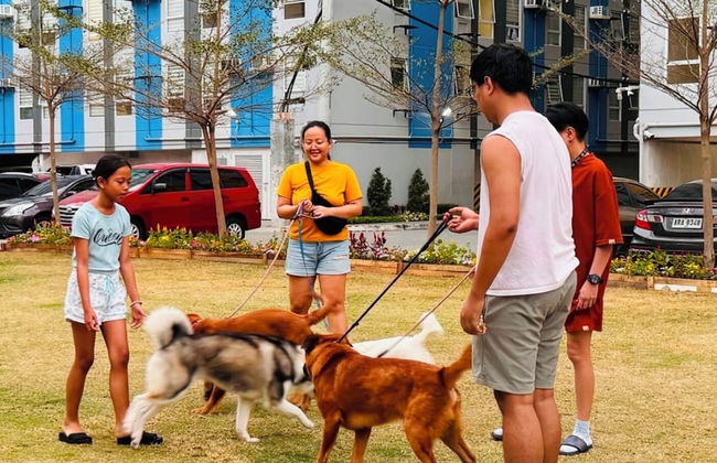 Pandora's Nest - Foto 69