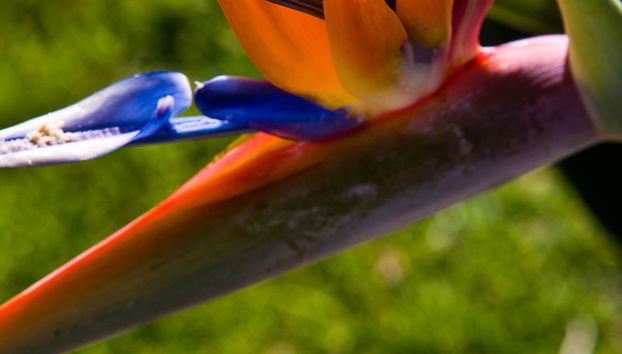 APARTHOTEL CABICASTRO Tres estrellas superior - Foto 4