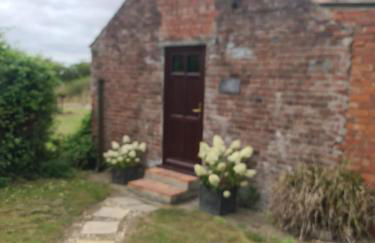 Amazingly quiet and peaceful studio getaway. - Foto 2