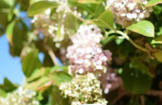 Irini's studios - Photo 49