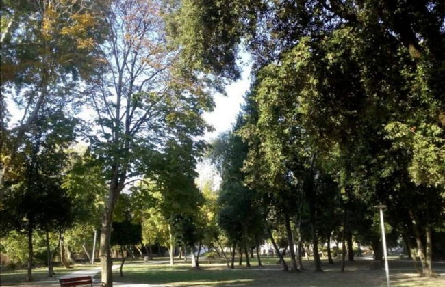 Lavanda Penthouse - Foto 17