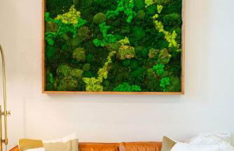 Private Modern Treehouse Retreat in the Forest - Foto 14