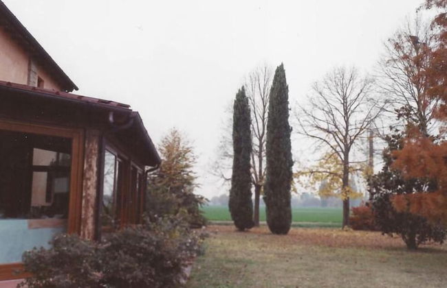 Alla Cedrara agriturismo - Foto 33