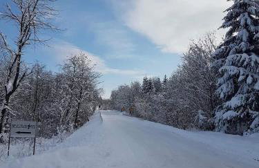 BIESZCZADZKI RAJ z prywatną działką przy linii brzegowej Jeziora Solińskiego Sauna Basen sezonowy - Foto 73