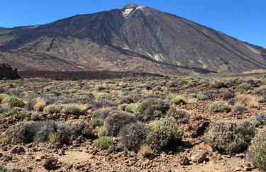 Home2Book El Encanto De la Torre I - Foto 45