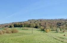 Wunderschöne helle Wohnung mit großer Dachterrasse - Foto 32