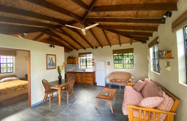 Sea Cliff Eco-Cottages & Gin Distillery - Photo 8