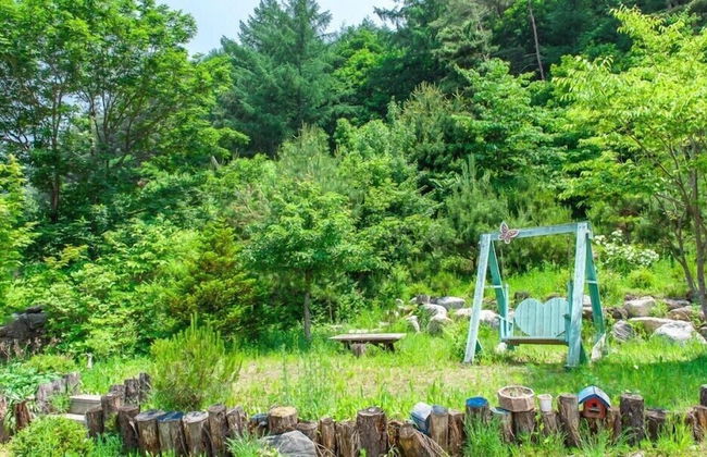 Sunny Junny Pension - Photo 52